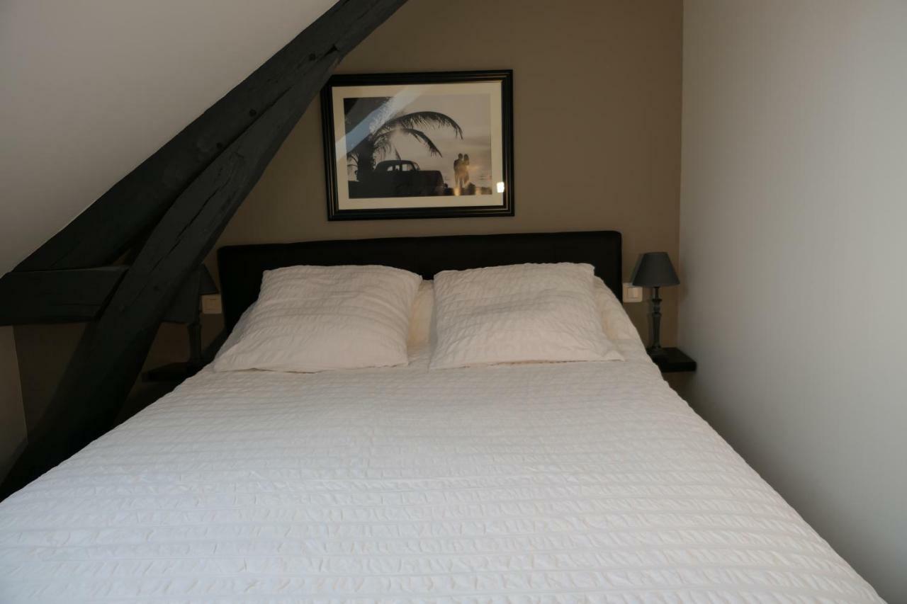 La Maison Virginie Appartements Climatises De 1 A 5 Pers Cosy Hyper Centre Cour Parking Linge Fibre Proximite Port Lac Canal Piscine Montargis Exterior foto