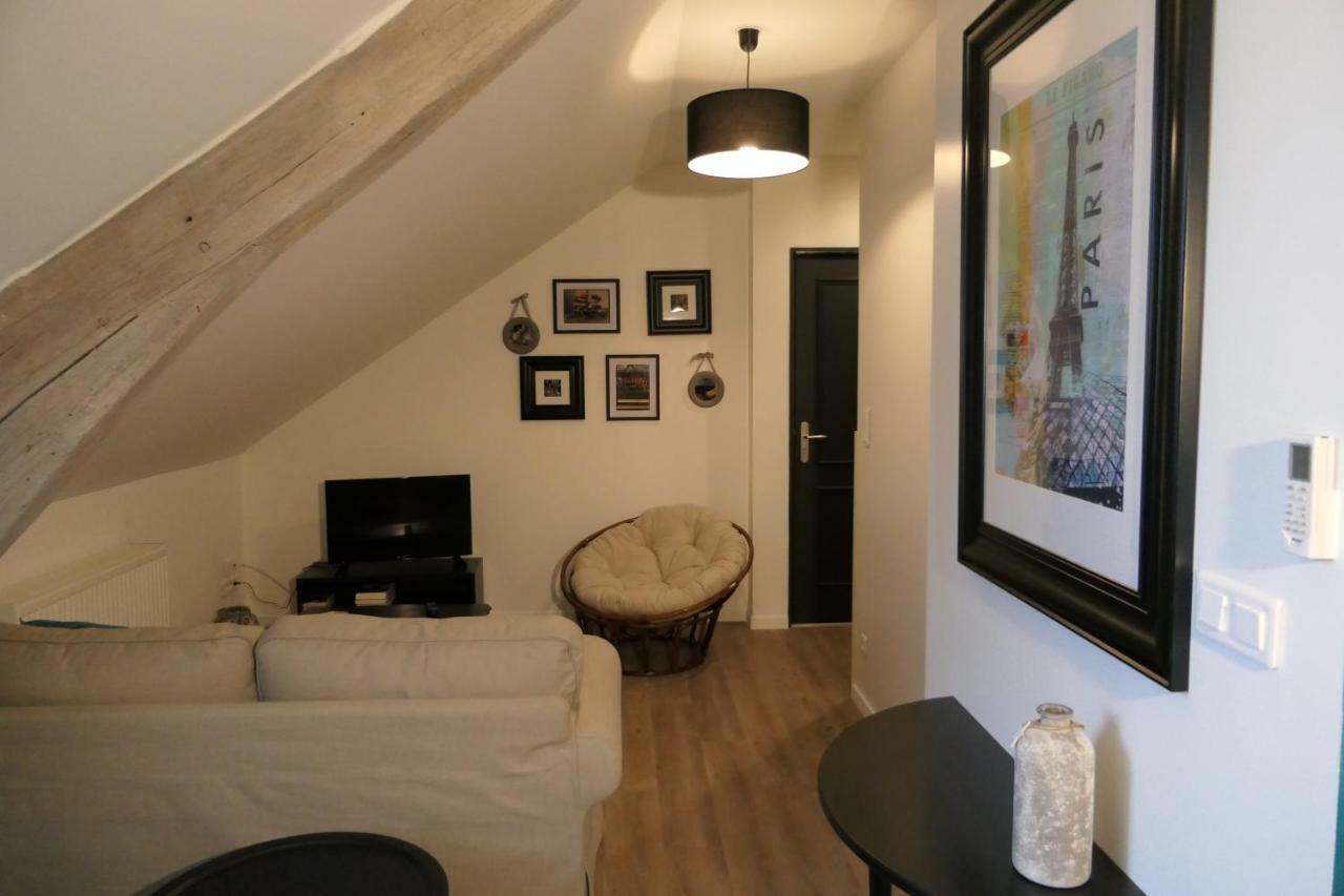 La Maison Virginie Appartements Climatises De 1 A 5 Pers Cosy Hyper Centre Cour Parking Linge Fibre Proximite Port Lac Canal Piscine Montargis Exterior foto